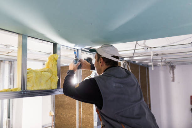 Best Residential Insulation in Stevensville, MD