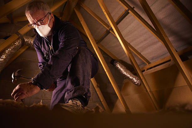 Best Insulation Materials and Products in Stevensville, MD