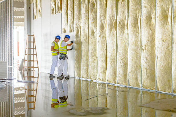 Best Insulation Maintenance and Repair in Stevensville, MD
